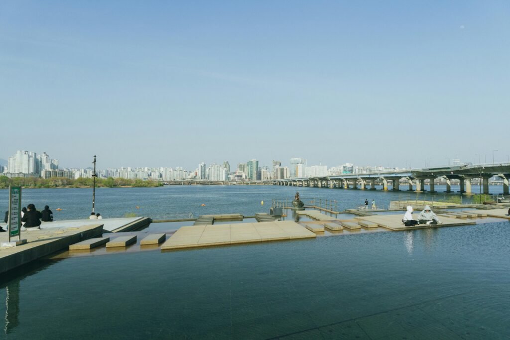  Han River Picnic