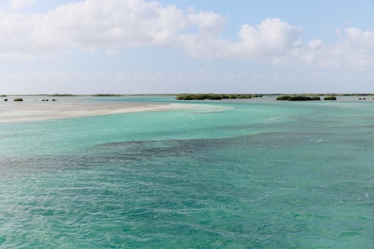 Zanzibar for Luxury Travellers